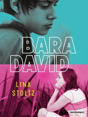 Omslag för Bara David