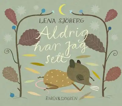 Omslag för Aldrig har jag sett