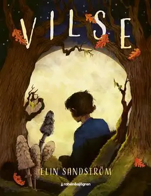Omslag för Vilse 
