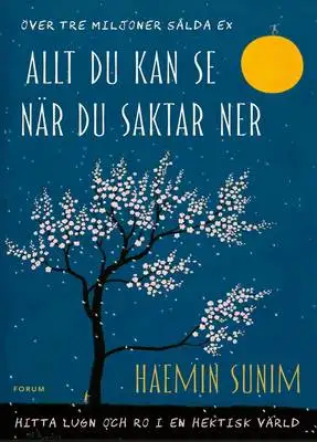 Omslag för Allt du kan se när du saktar ner 