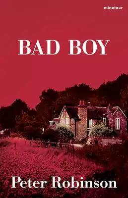 Omslag för Bad boy