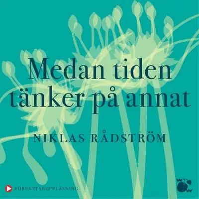 Omslag för Medan tiden tänker på annat 