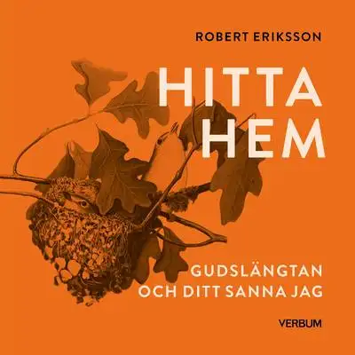 Omslag för Hitta hem 