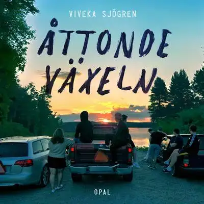 Omslag för Åttonde växeln 