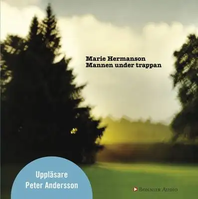 Omslag för Mannen under trappan 