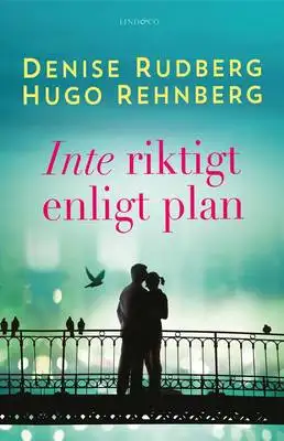 Omslag för Inte riktigt enligt plan