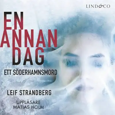 Omslag för En annan dag: Ett Söderhamnsmord