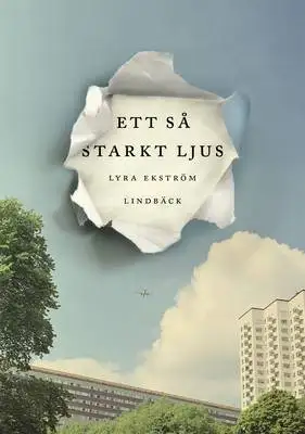 Omslag för Ett så starkt ljus