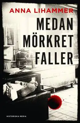 Medan mörkret faller