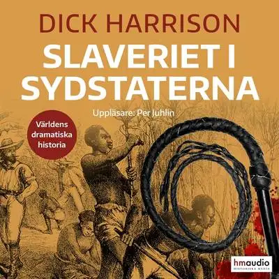 Omslag för Slaveriet i Sydstaterna