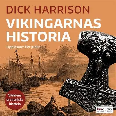 Omslag för Vikingarnas historia