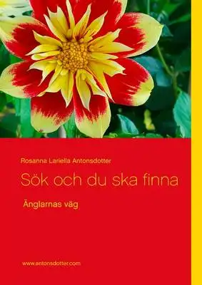 Omslag för Sök och du ska finna: Änglarnas väg