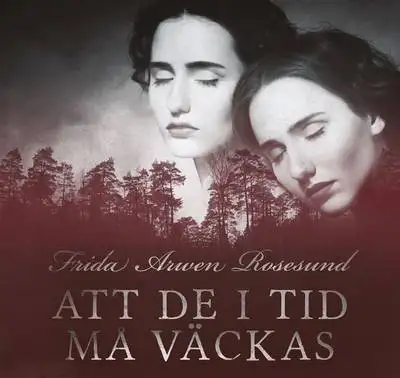 Omslag för Att de i tid må väckas