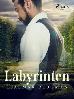 Omslag för Labyrinten