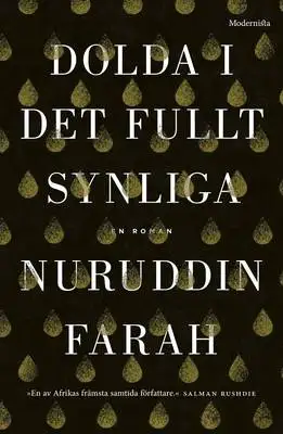 Omslag för Dolda i det fullt synliga