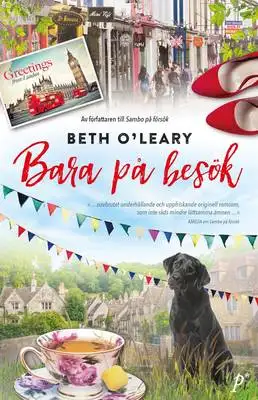 Omslag för Bara på besök