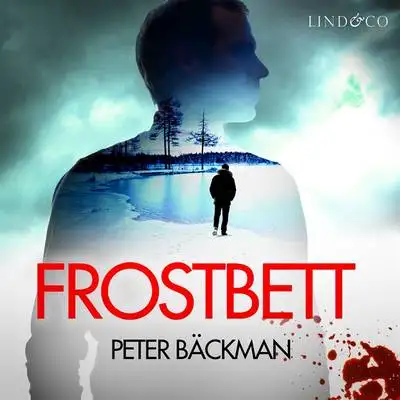 Omslag för Frostbett