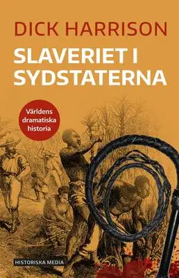 Omslag för Slaveriet i Sydstaterna 