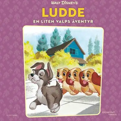 Omslag för Ludde 