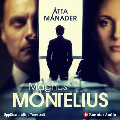 Omslag för Åtta månader 