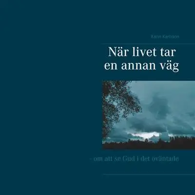 Omslag för När livet tar en annan väg 