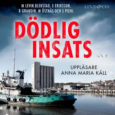 Omslag för Dödlig insats