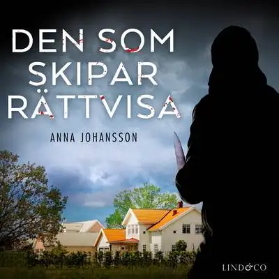 Omslag för Den som skipar rättvisa