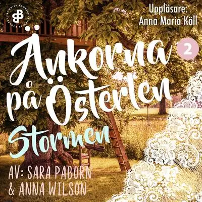 Omslag för Änkorna på Österlen. Stormen