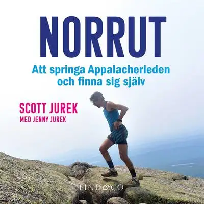 Omslag för Norrut 