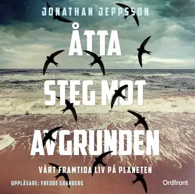 Omslag för Åtta steg mot avgrunden