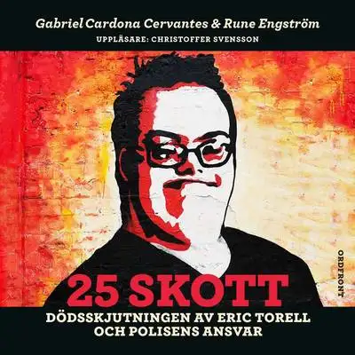 Omslag för 25 skott 