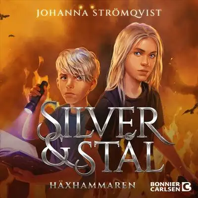 Omslag för Häxhammaren 