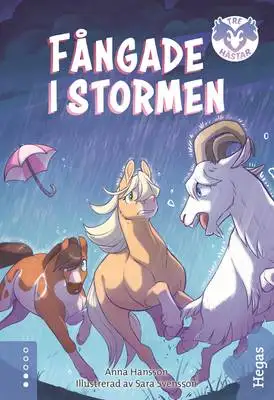 Omslag för Fångade i stormen 