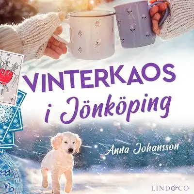 Omslag för Vinterkaos i Jönköping