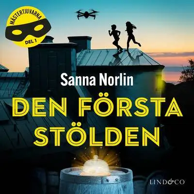 Omslag för Den första stölden