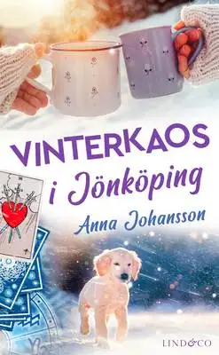 Omslag för Vinterkaos i Jönköping