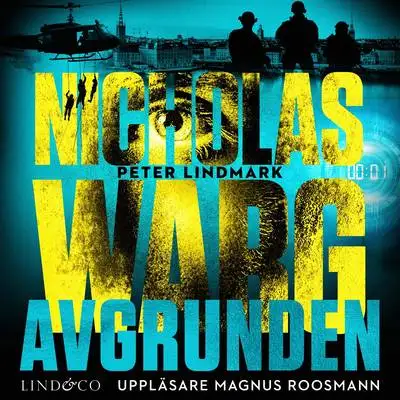 Omslag för Avgrunden 