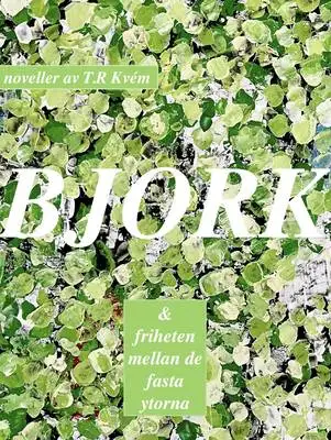 Omslag för BJORK: friheten mellan de fasta ytorna 