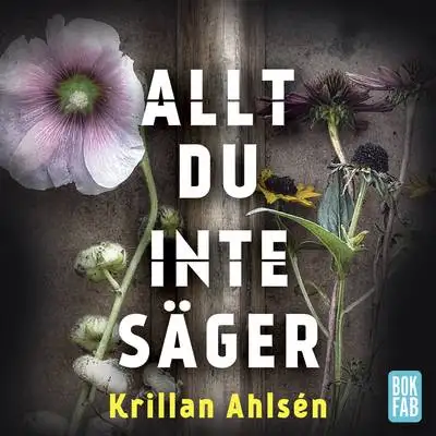 Omslag för Allt du inte säger 