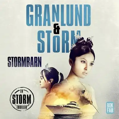 Omslag för Stormbarn 