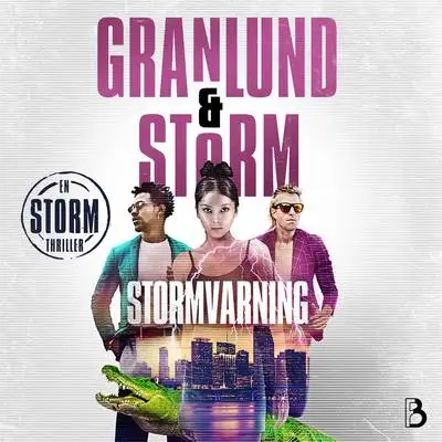 Omslag för Stormvarning 