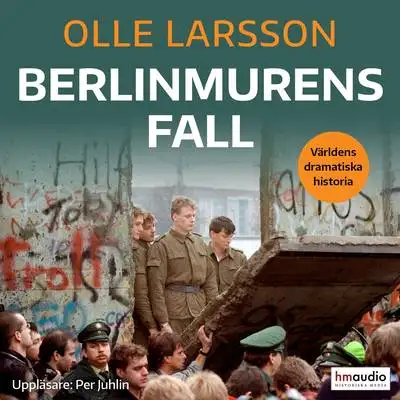 Omslag för Berlinmurens fall 