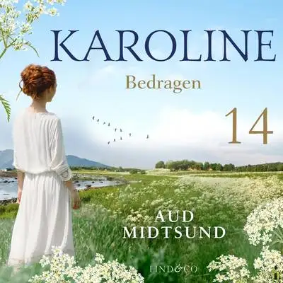 Omslag för Bedragen 