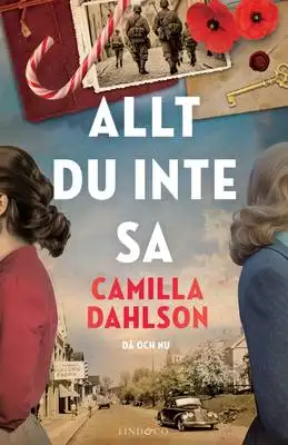 Omslag för Allt du inte sa 