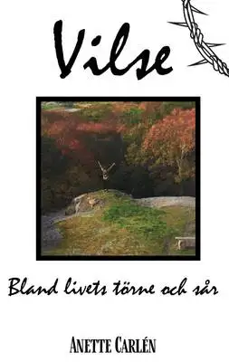 Omslag för Vilse 