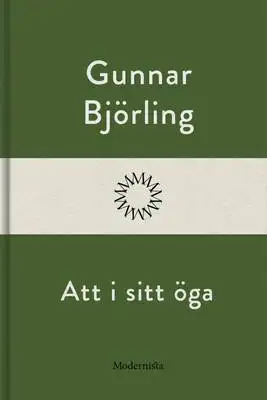 Omslag för Att i sitt öga 