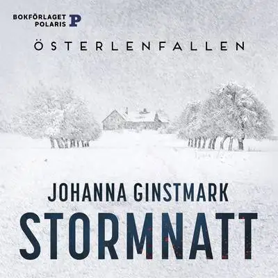 Omslag för Stormnatt 