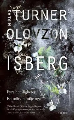 Omslag för Isberg 