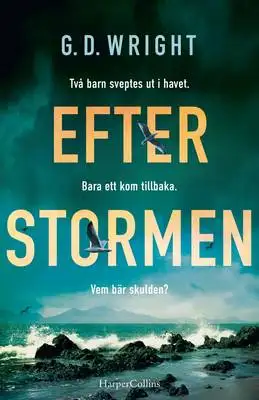 Omslag för Efter stormen 