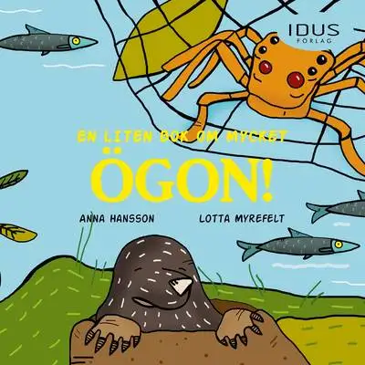 Omslag för En liten bok om mycket ögon! 